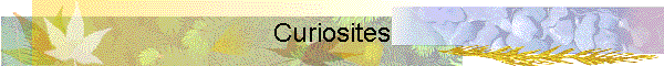 Curiosites