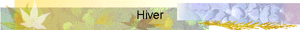 Hiver