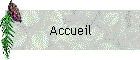 Accueil